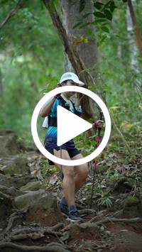 BIB:  <button type="button" onclick="openModal(27646944)" class="btn btn-primary btn-sm float-right" data-toggle="modal" data-target=".modal-high-quality">
                <i class="fa fa-download"></i> Download
                </button>